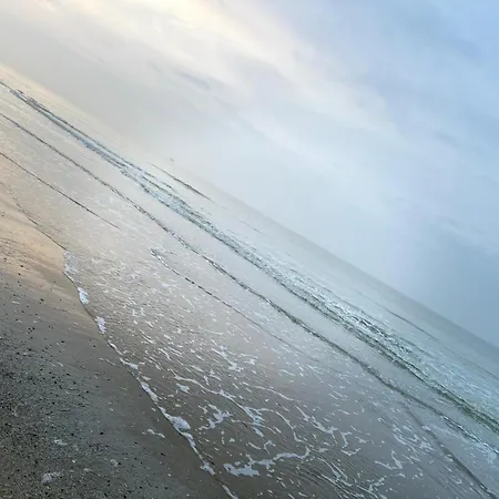 - Frontaal Zeezicht Lejlighed Middelkerke