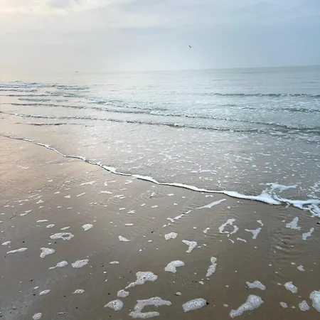 Lejlighed - Frontaal Zeezicht *