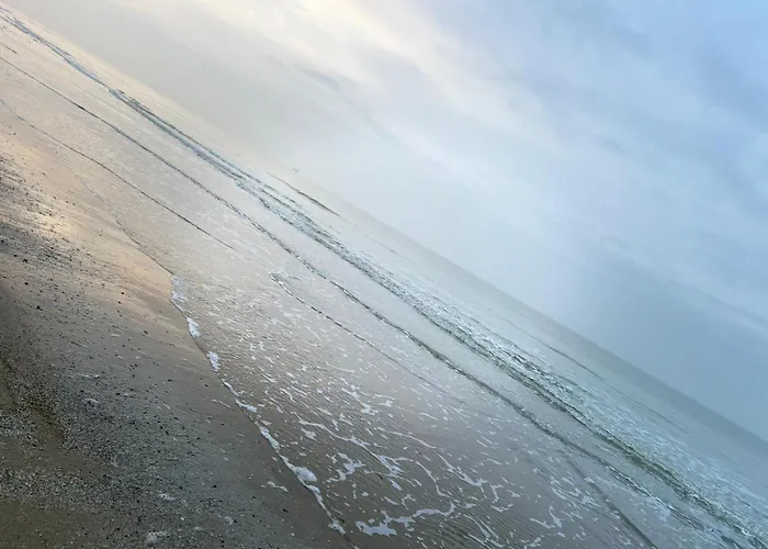 - Frontaal Zeezicht Apartamento Middelkerke