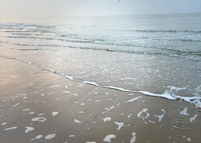 Apartamento - Frontaal Zeezicht *