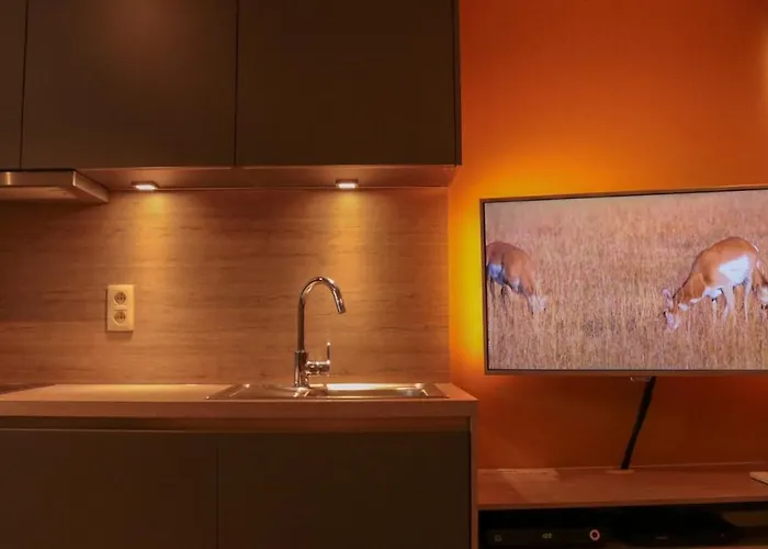 - Frontaal Zeezicht *